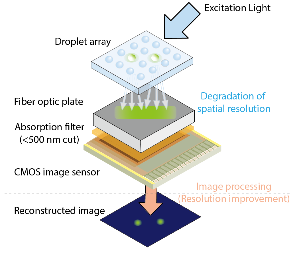 Fiber Optic Plate in Droplet Analysis