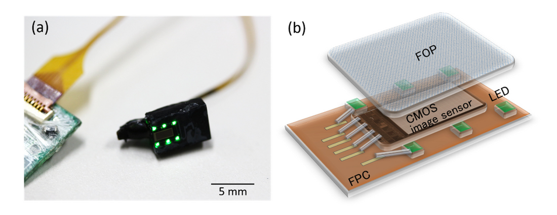 Chronic brain blood-flow imaging device for a behavioral experiment using mice