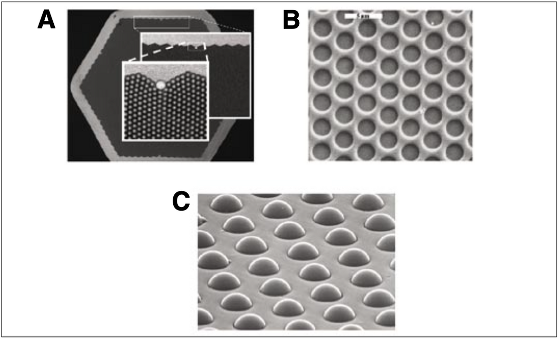 Fiber optic array biosensors