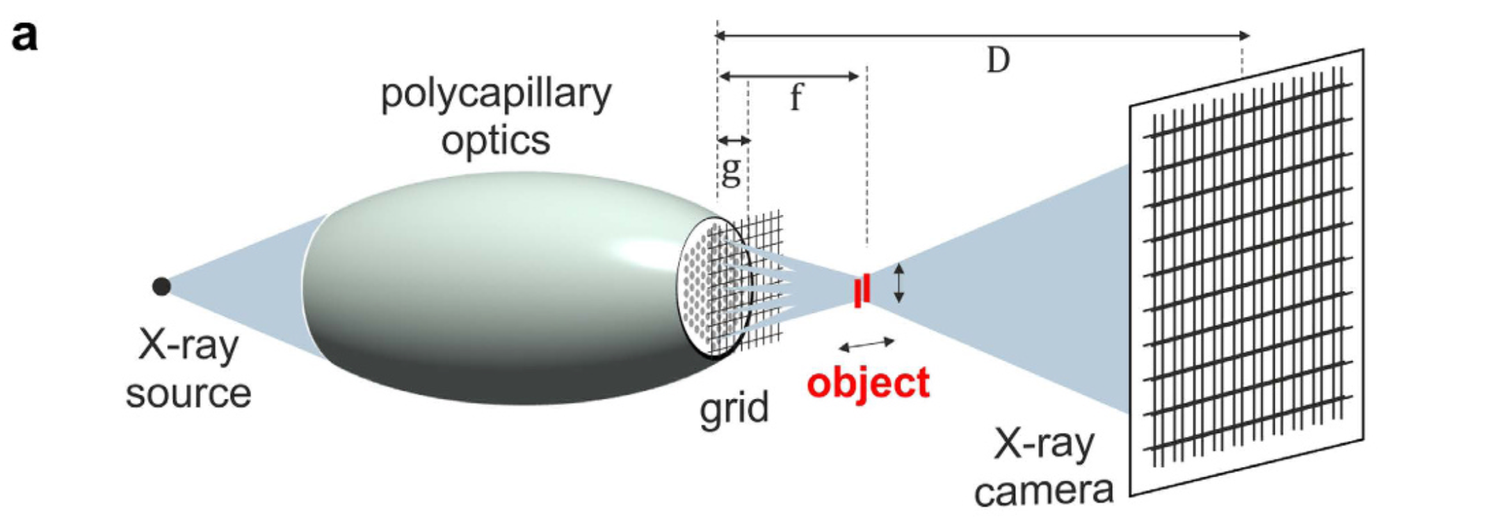 Grid-enhanced X-ray coded aperture microscopy with polycapillary optic ...