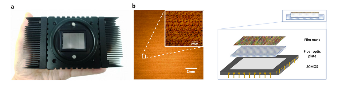 Handheld snapshot multi-spectral camera at tens-of-megapixel resolution