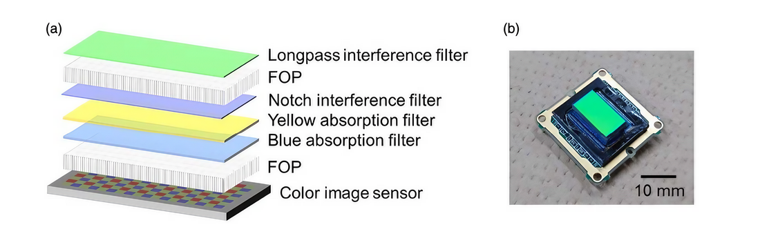 Lensless dual-color fluorescence imaging device using hybrid filter ...