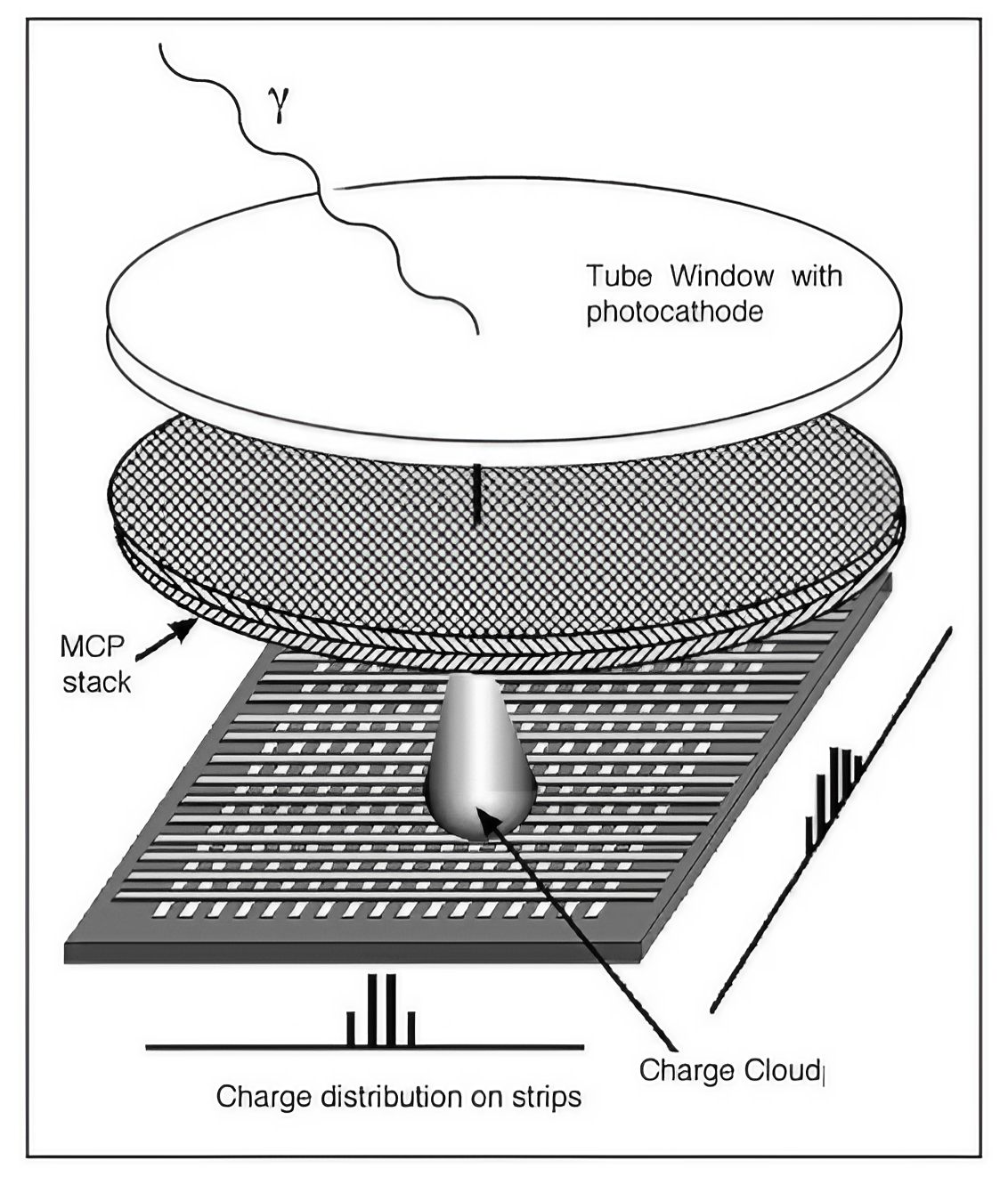 Detection Plate Method Microchannel plate cross-strip detectors with high spatial and tempora ...