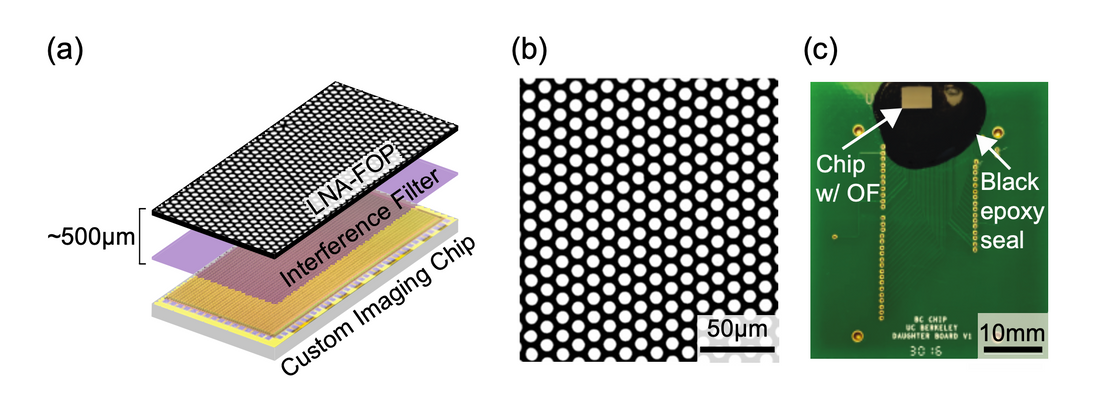 Multicolor fluorescence microscopy for surgical guidance using a chip-scale imager with a low-NA fiber optic plate and a multi-bandpass interference filter