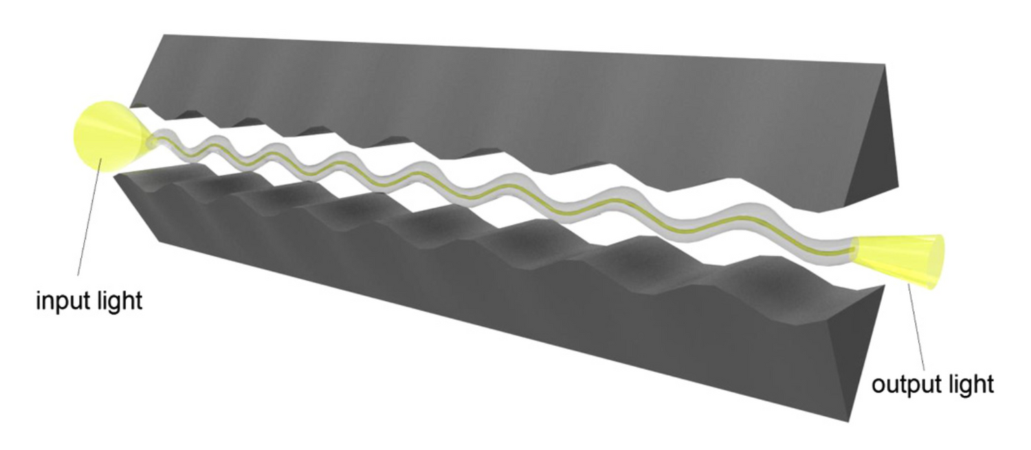 Review of fiber-optic pressure sensors for biomedical and biomechanica ...