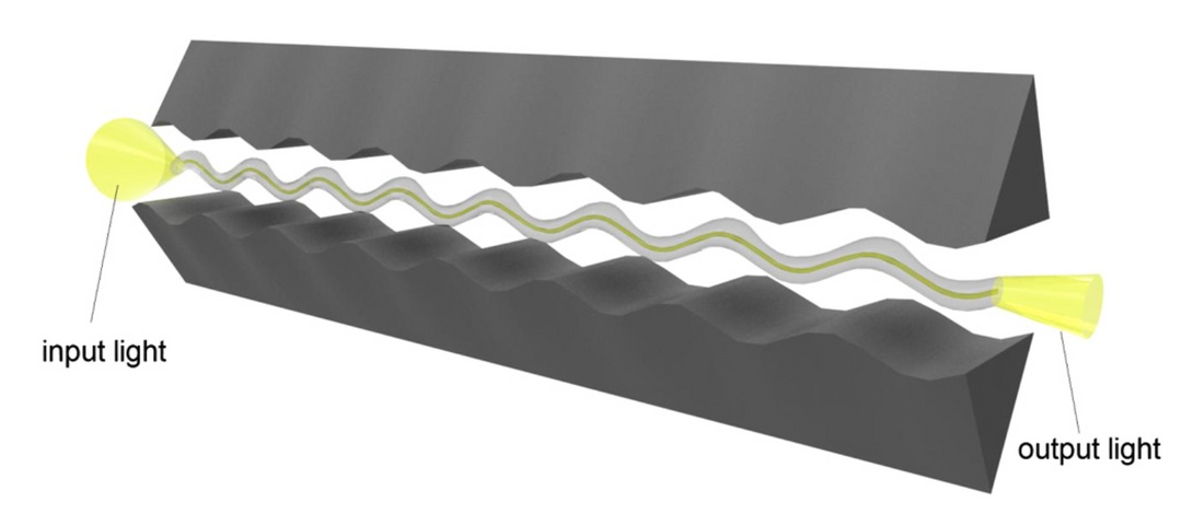 Review of fiber-optic pressure sensors for biomedical and biomechanical applications