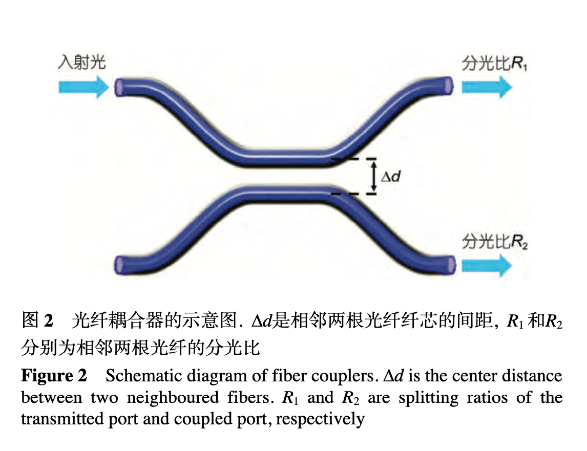 Optical Coupler Array The explanation of color vision based on fiber coupler theory of fovea ...
