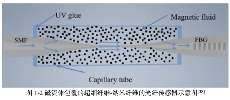 Research on magnetic field sensor based on hollow core optical fiber d ...