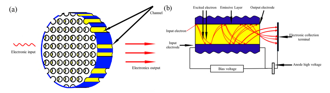 Simulation on Secondary Electron Multiplication Behavior of the Microchannel Plate under DC Mode