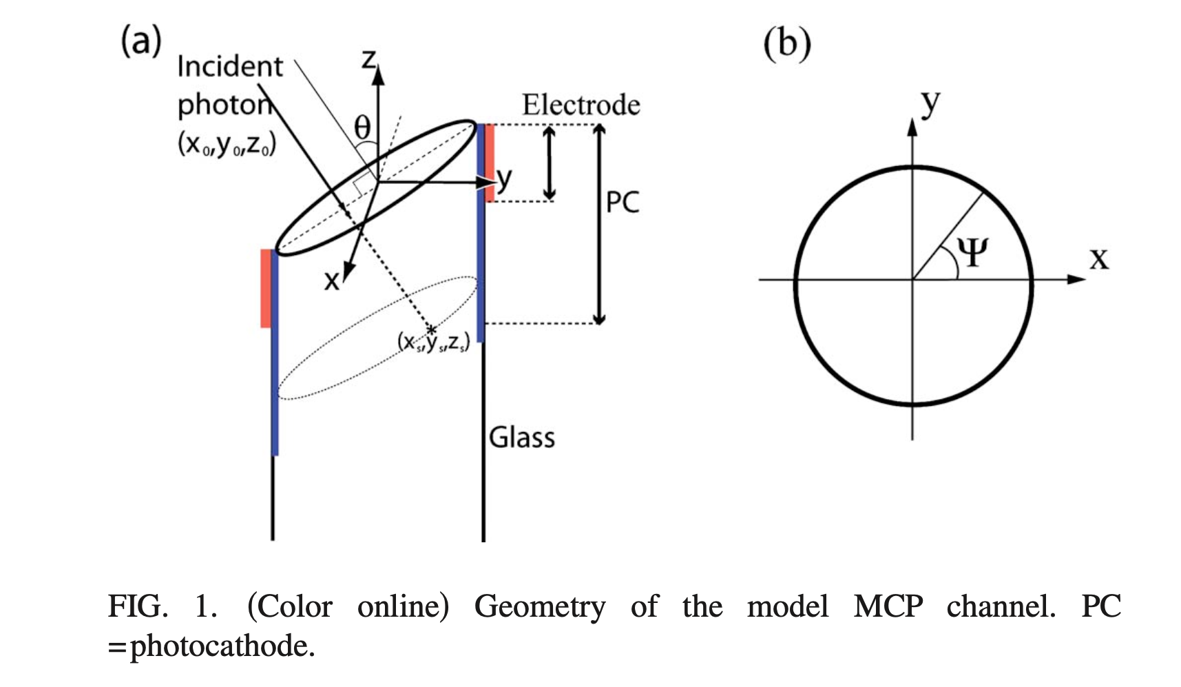 Three-dimensional model of x-ray induced microchannel plate output ...